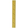 Fowler 52-349-006-0 Rigid Steel Rule with Titanium Coated Golden Finish,