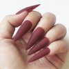 LoveOurHome 100pc Stiletto Press on Nails Long Fake Nails Matte