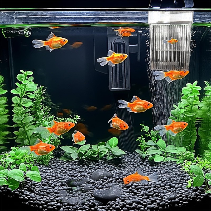 WEAVERBIRD Aquarium Fish Breeder Box, Acrylic Fish Isolation Breeding Box,