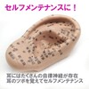 Fermore Ear Model, Ear Urn Model, Japanese Notation, Convenient to