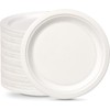 ECONX 10 Inch Disposable Sugarcane Bagasse Plates Large Round Paper
