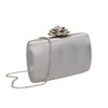 SwankySwans Women's Rosie Clutch Bag, silver