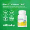 Wellsgoing Probiotic 40 Billion CFU Supplement, 10 Strains Probiotic Complex