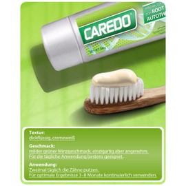 CAREDO Hydroxyapatit-Zahnpasta, fluoridfrei, Wurzelkanalbehandlungslösung, Zahnremineralisierung, Pfefferminze-Geschmack, 100g (1 Stück)