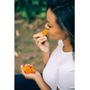Bella Viva Orchards Dried California Tangy Apricots, 1 lb of
