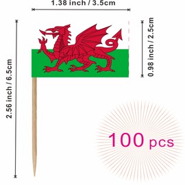 LUSEOAN Wales Countries Toothpicks Flag Welsh Small Mini Cocktail Fruit Cupcakes Toppers Food Stick Flags Decorations, 100 Pack