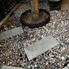 FANTIAN 20 lbs River Rocks for Plants, 1-2 Inch Decorative