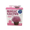 Wonder In Water One Day Crystal Cactus Grow Magic Cactus
