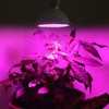 200LED Grow Light Greenhouse Plant Grow Lamp 360° Rotatable Plant
