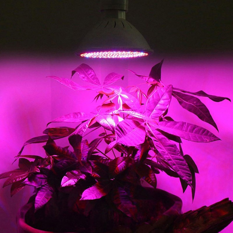 200LED Grow Light Greenhouse Plant Grow Lamp 360° Rotatable Plant