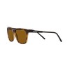 Arnette 0an4291 Cortex, Gafas Hombre, Habana, 57