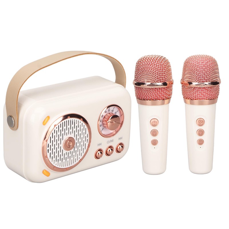 Karaoke Machine Multifunction Enhanced Bass 6 Modes Portable Bluetooth PA