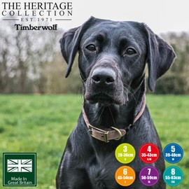 Ancol Timberwolf Leather Round Collar Sable 39-48cm Size 5 (M)