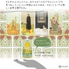 Before Tarot Tarot Divination with Japanese Manual (English Language Not