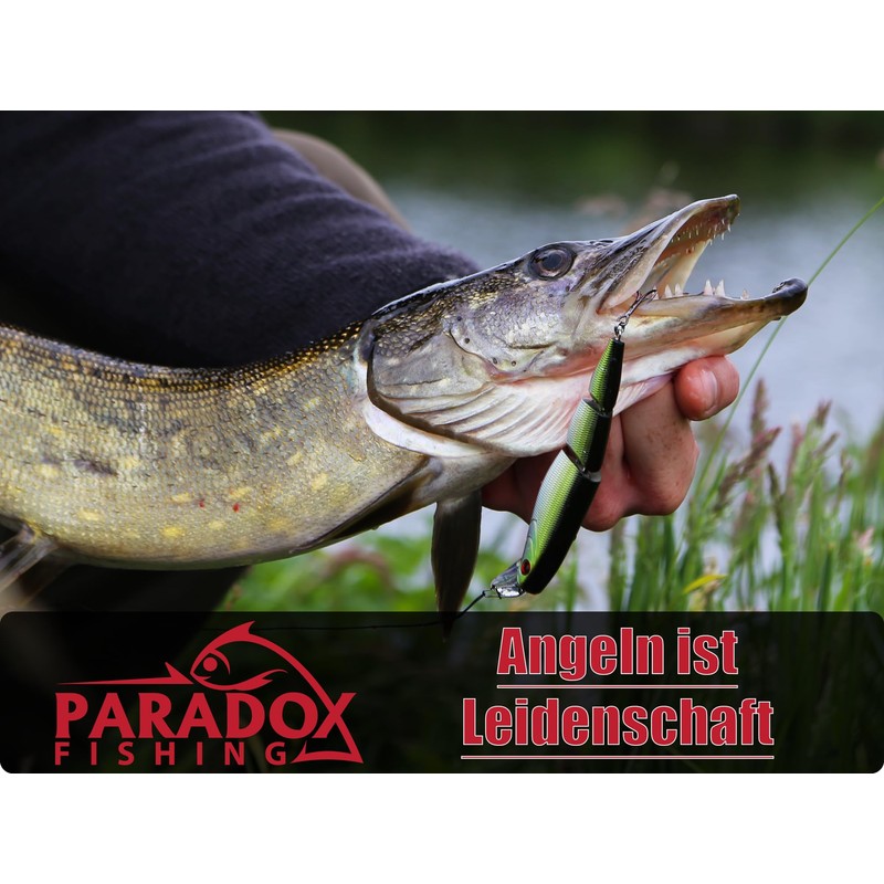 Paradox Fishing Chatterbait Pike 5 Pieces 18g - Spinner Bait