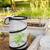 4 Pcs Pop Up Insect Barrier Plant Cover Net, 19.6"