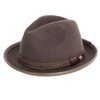 Peter Grimm Chandler 100% Wool Felt nFedora Brown