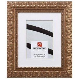 Craig Frames Bravado Ornate, 20 x 30 Inch Antique Bronze Picture Frame Matted to Display a 16 x 24 Inch Photo