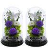 Art Four Seasons Flower Vs. Design SET Lira Preserved Flower