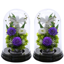 Art Four Seasons Flower Vs. Design SET Lira Preserved Flower
