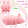 Bambebe Pack of 3 Pig Squeeze Toys, Squishy Squeeze Toy,