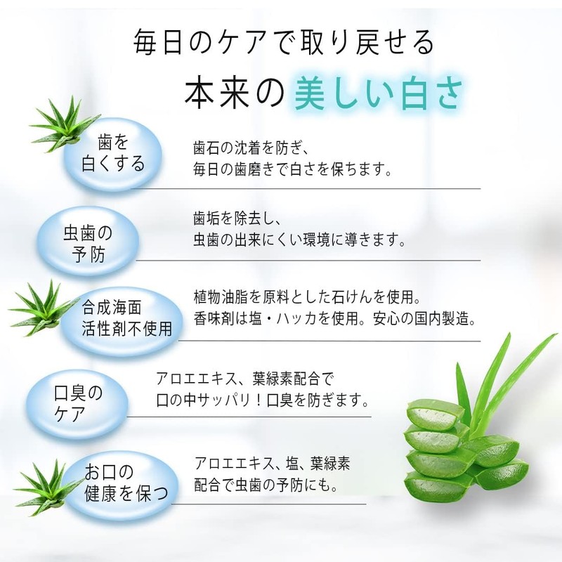 Aloe Dental Salt Fluorine-Free Toothpaste, Quick and Refreshing, Large Size,