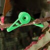 50pcs Low Stress Training Clips 360 Degree Adjustable Reusable Plastic