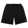 Champion Big and Tall Shorts for Men - Athletic Fit