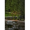 Star Firework Solar Pole Black 100 x 40 cm