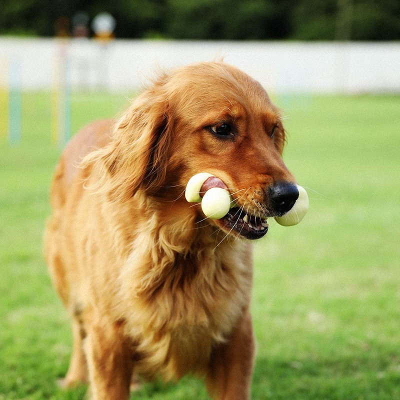 Tikaton Dog Chew Toys for Aggressive Chewers, Peanut Butter Flavor