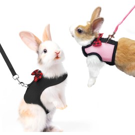Pack of 2 Rabbit Harness Lead Pet Harness and Lead Adjustable Rabbit Harness Soft Harness with Lead for Rabbits Rabbit Harness Rabbit Harness for Small Animals Kittens Pet