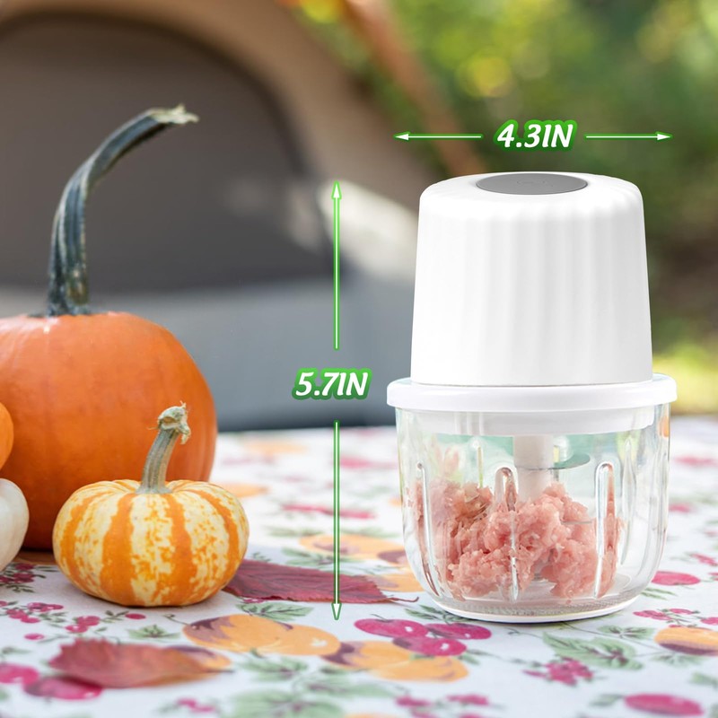 Luniquz Mini Electric Garlic Chopper 300ML GLASS Food Processor Cordless