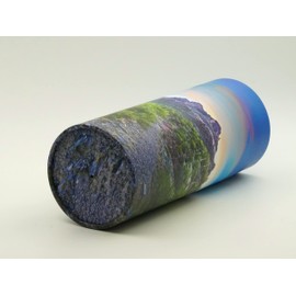 Casket Depot Saguaro Trail Adult Size Memorial Collection Scattering Tube, Biodegradable Urn for Scattering Ashes, Eco Urn (Large Adult 250 Cubic Inches)