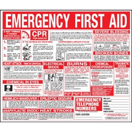 First Aid Wall Chart 22x26