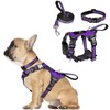 WINSEE Pet Harness Collar and Leash Set, All-in-one Reflective Dog