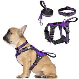 WINSEE Pet Harness Collar and Leash Set, All-in-one Reflective Dog Harness No Pull with Adjustable Buckles for Puppies, Small, Medium, Large, and Extra-Large Dogs (Small, Purple)