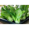 SeedsUP - 300+ Seeds Cabbage Bok Choy Chinese - Vegetable
