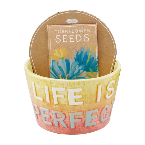 Mud Pie Colorful Planter Seed, Life, 3" x 3.65" Dia