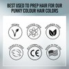 Punky Color Lightning Fast 40 Vol Kit de blanqueador