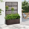 52’’ H Garden Planter Box with Trellis Outdoor for Vine