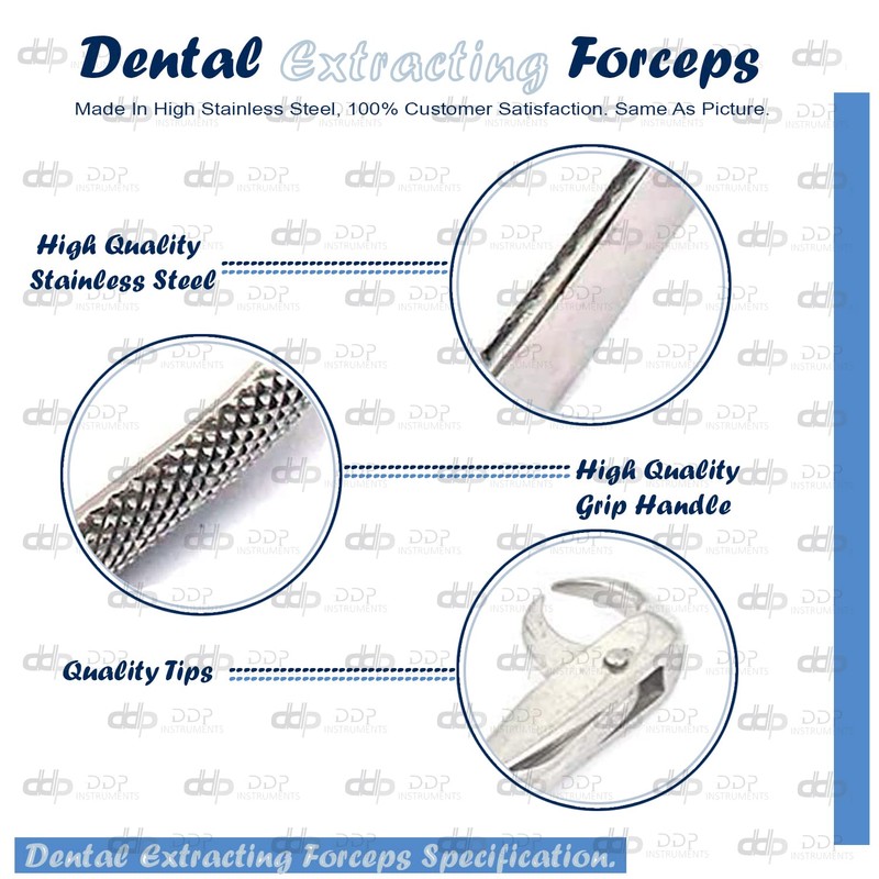 DDP Dental Tooth Extracting Forceps # 86