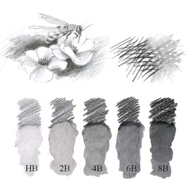 Faber-Castell Graphite Aquarelle Water-Soluble Single Pencil, Hb