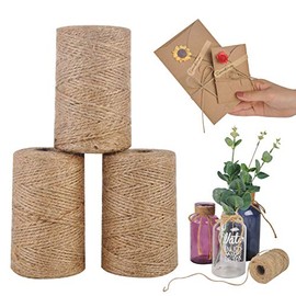 BABYPOEM 3 PcsX380 Feet 1mm 2ply Natural Jute Twine for Artworks and Crafts, Juke Twine, Gift Wrapping, Garden Twine