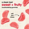 Snak Club Cherry Slices Gummy Candy, Fruit Flavored Candy Gummies,