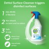 Reckitt Benckiser Dettol Anti Bacterial Surface Cleanser 500 ml