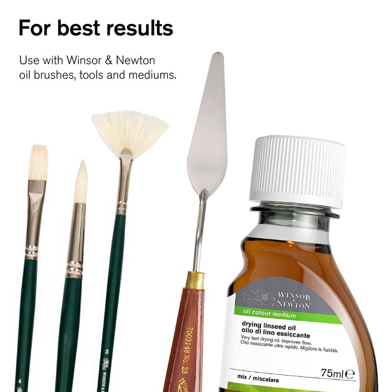 Winsor & Newton Winton Oil Color Paint Set, 20 x