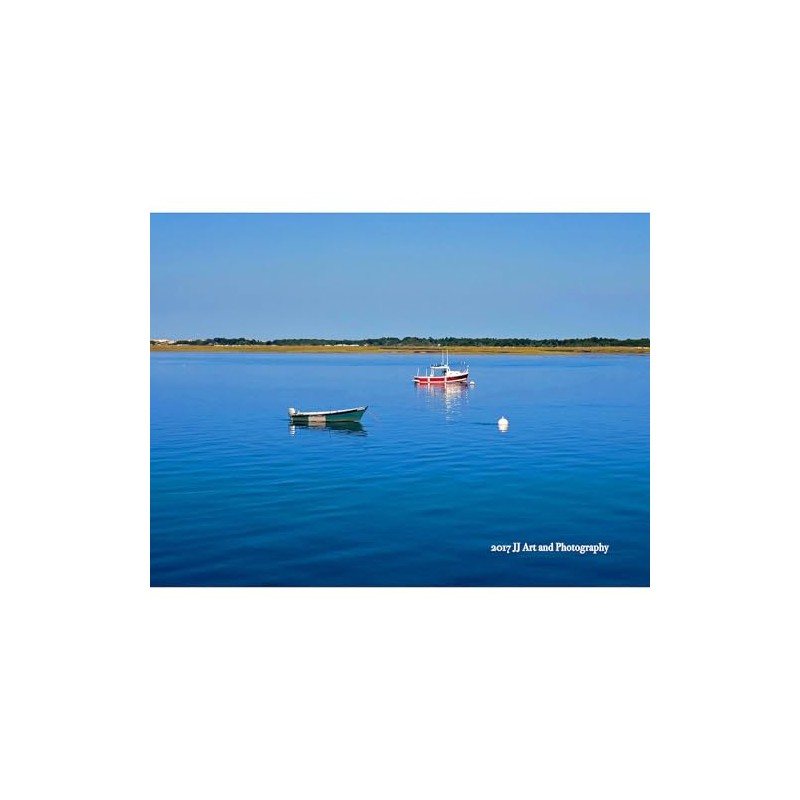 CafePress Cape Cod Boats Rectangle Bumper Sticker Car Decal
