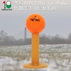 Golf Rubber Tees for Golf Practice Permanent Tees for Practice