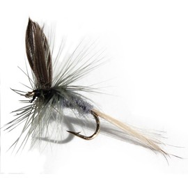 Flies Direct Blue Dun Assortment Trout Fishing Flies (1-Dozen)