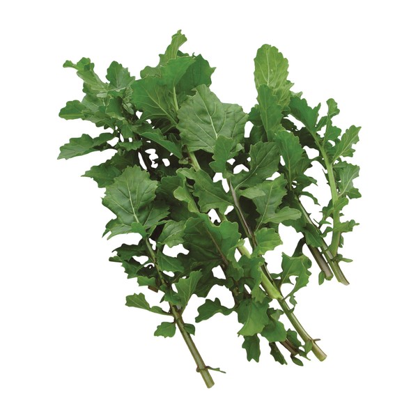 Burpee Garden Arugula Seeds 800 seeds